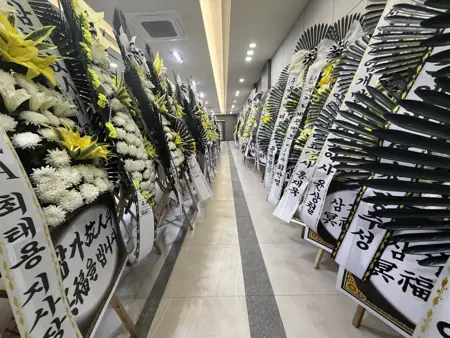 Photograph 1, Ulsan, South Korea, October 13, 2026